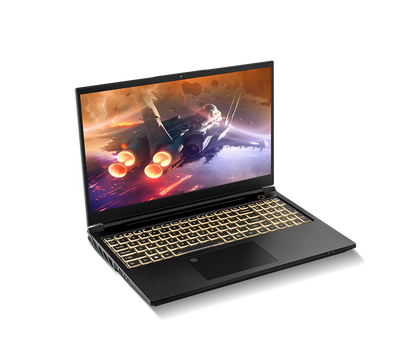SAGER NP8855D (CLEVO PD50SND-G) Gaming Laptop