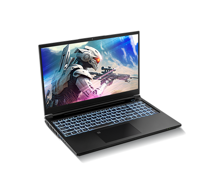 SAGER NP8855E (CLEVO PD50SNE-G) Gaming Laptop