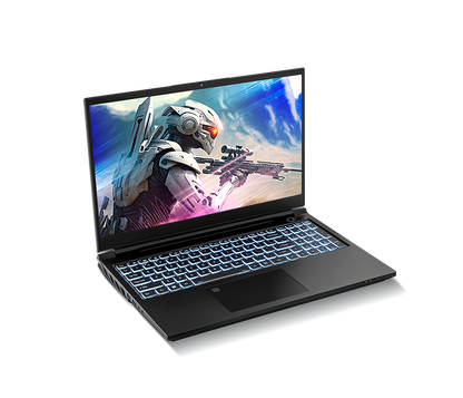 SAGER NP8855E-S (CLEVO PD50SNE-G) Gaming Laptop
