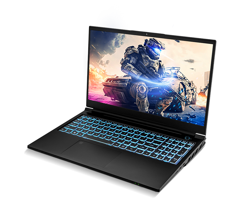 SAGER NP8855E (CLEVO PD50SNE-G) Gaming Laptop