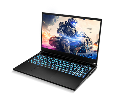 SAGER NP8855E (CLEVO PD50SNE-G) Gaming Laptop