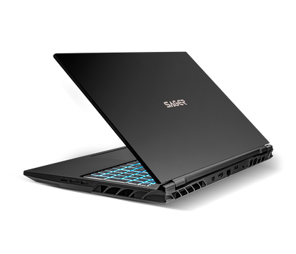 SAGER NP8855E (CLEVO PD50SNE-G) Gaming Laptop