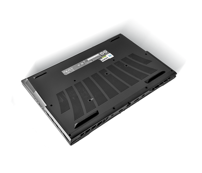 SAGER NP8855E (CLEVO PD50SNE-G) Gaming Laptop