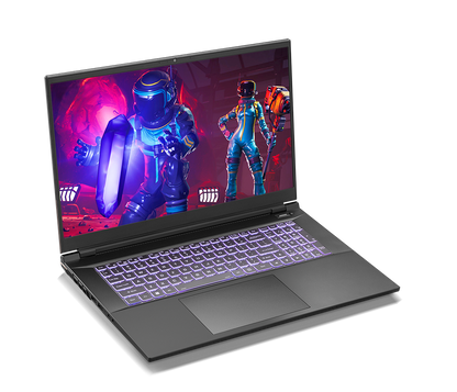 SAGER NP8872N-S (CLEVO PD70PNN) Gaming Laptop