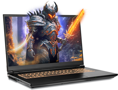 SAGER NP8875D (CLEVO PD70SND-G) Gaming Laptop
