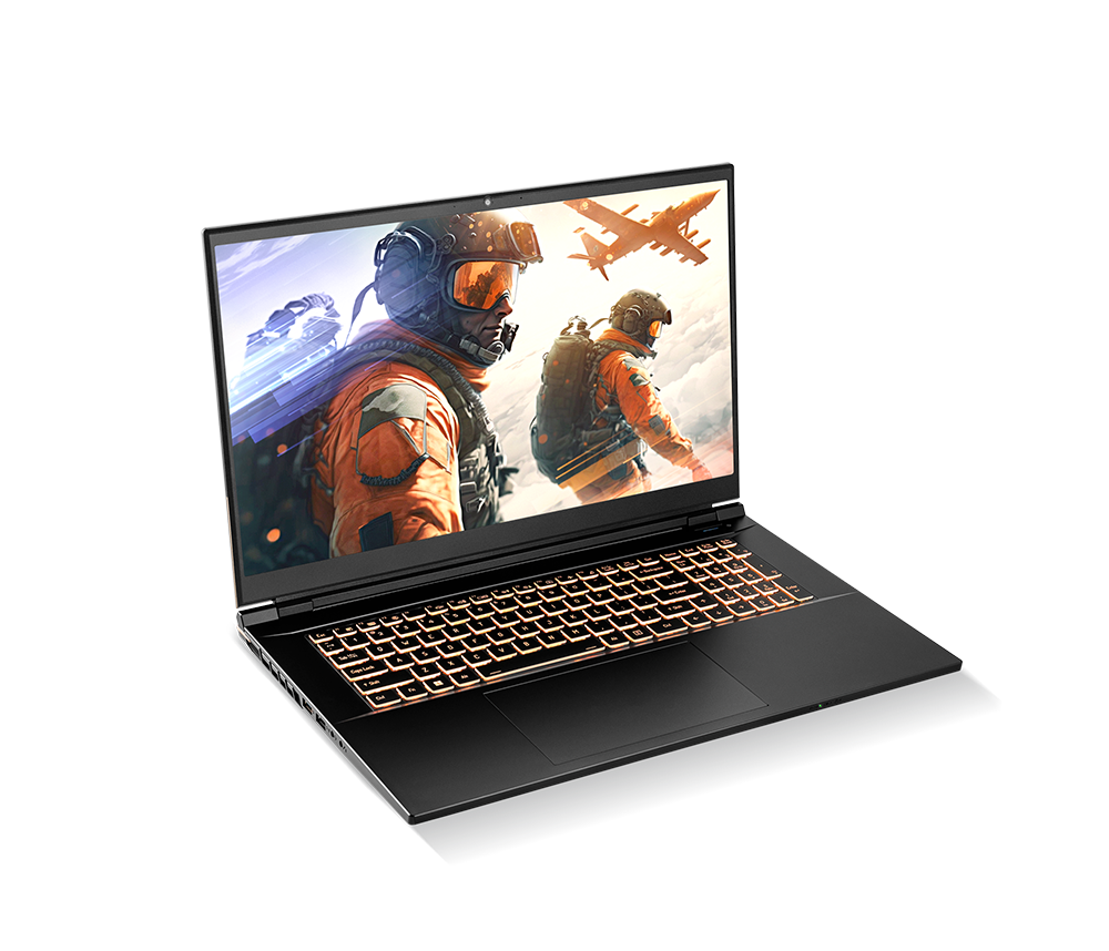 SAGER NP8875D (CLEVO PD70SND-G) Gaming Laptop