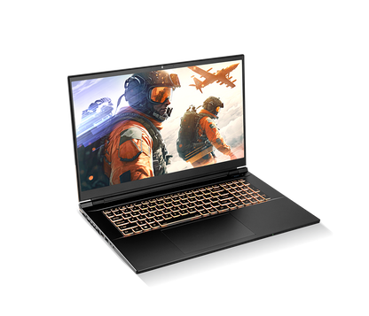 SAGER NP8875D (CLEVO PD70SND-G) Gaming Laptop