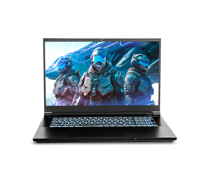 SAGER NP8875E-S (CLEVO PD70SNE-G) Gaming Laptop
