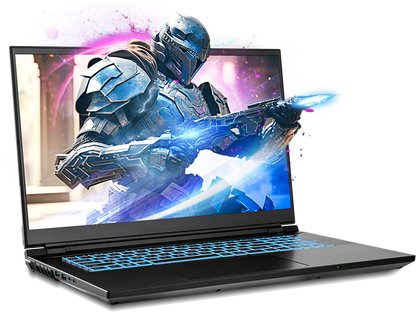 SAGER NP8875E (CLEVO PD70SNE-G) Gaming Laptop