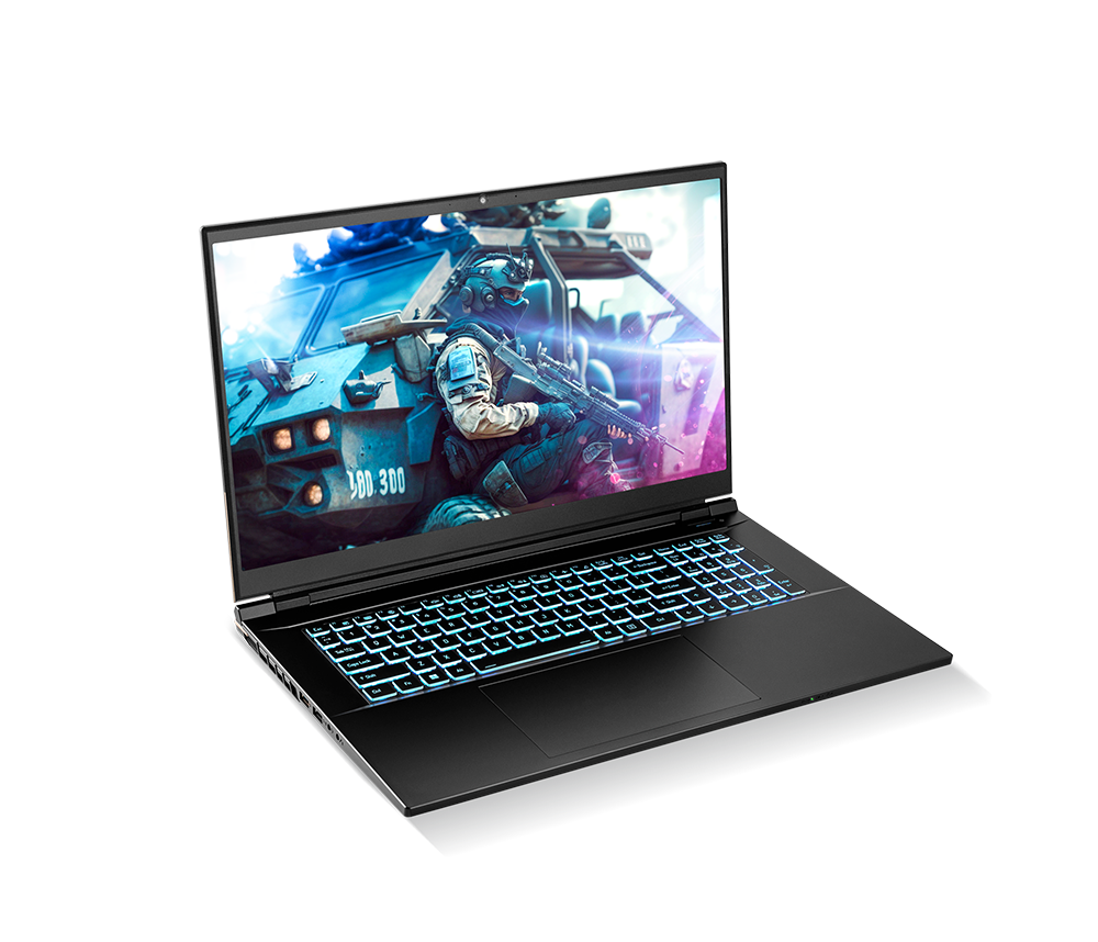 SAGER NP8875E-S (CLEVO PD70SNE-G) Gaming Laptop