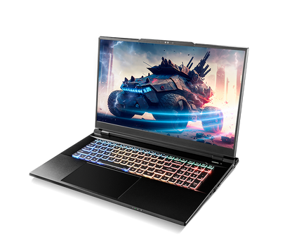 SAGER NP9371V (CLEVO X370SNV-G) Gaming Laptop