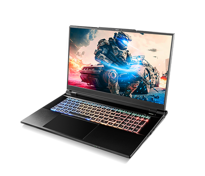 SAGER NP9371W (CLEVO X370SNW-G) Gaming Laptop