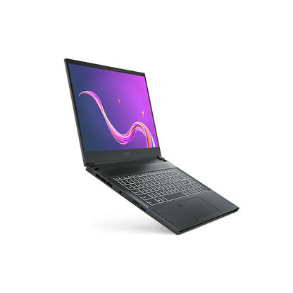MSI Creator 15 A11UE-491 Professional Laptop