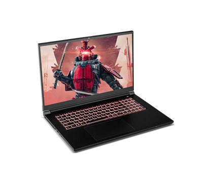 XOTIC PC G70RNJS (NP70RNJS) Gaming Laptop