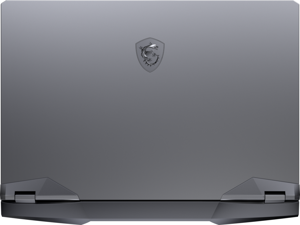 MSI GE66 Raider 10SFS-670 Gaming Laptop