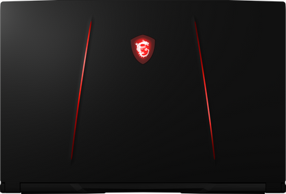 MSI GE75 Raider 10SFS-477 Gaming Laptop