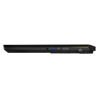 MSI Crosshair 17 B12UGZ-295 Gaming Laptop