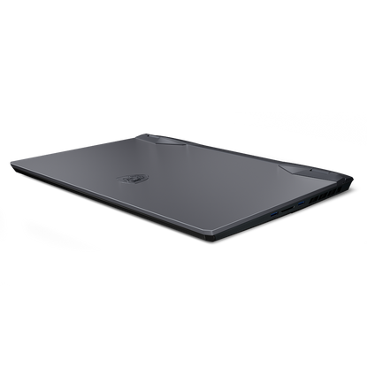 MSI Raider GE66 12UHS-235 Gaming Laptop