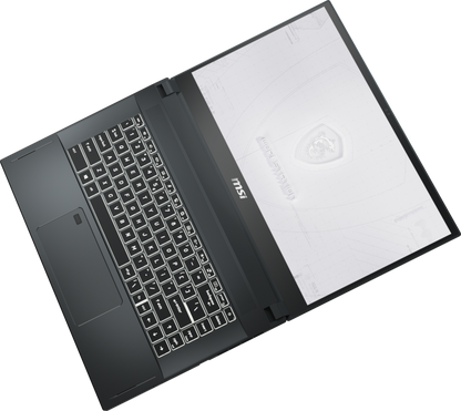 MSI WS66 10TMT-207 Workstation Laptop