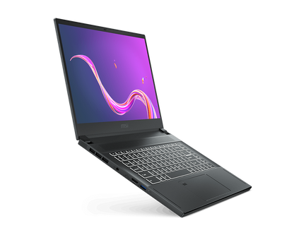 MSI Creator 15 A10SE-484                                                